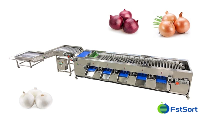 images/1708935682587onion grader.jpg